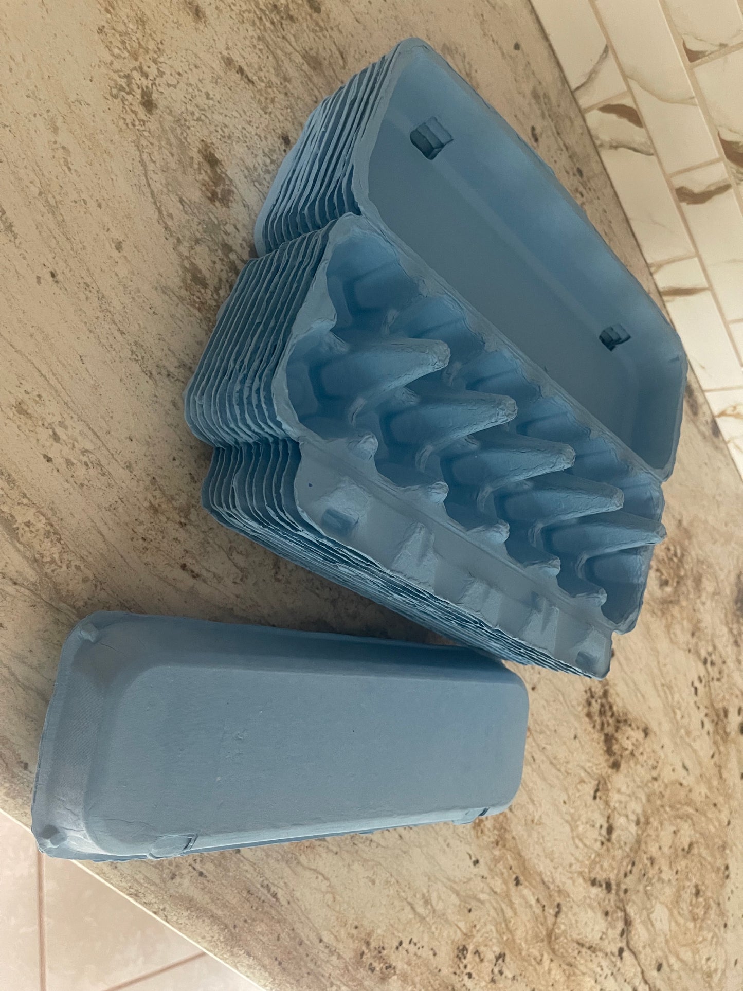 Eco-Friendly Light Blue Paper Egg Cartons – 12-Egg Capacity