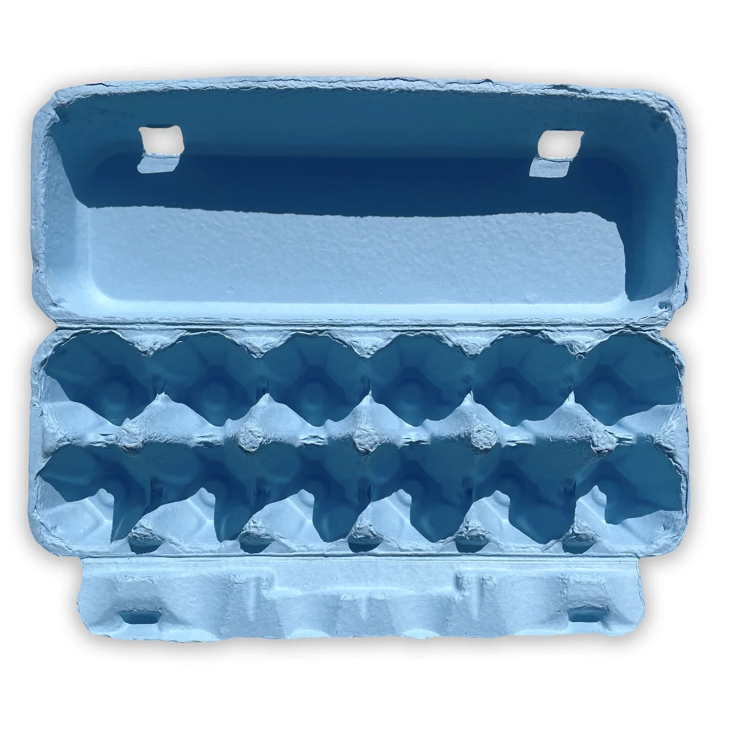 Eco-Friendly Light Blue Paper Egg Cartons – 12-Egg Capacity
