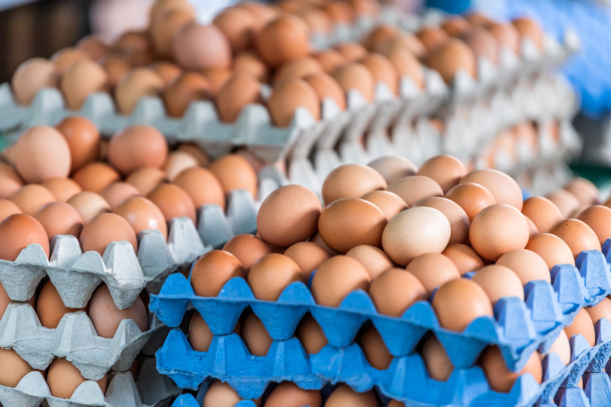 Wholesale eggs in blue and gray cartons on a market stall