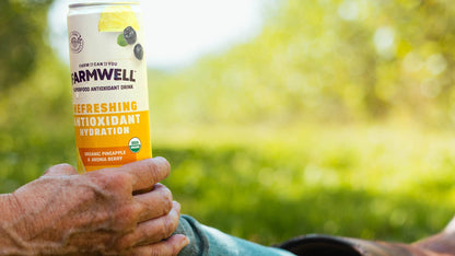 Organic Pineapple & Aronia Berry - 12 Pack